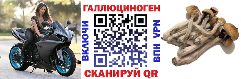 Псилоцибиновые грибы мицелий  наркошоп  Фокино 